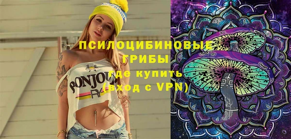 молекула духа Аркадак
