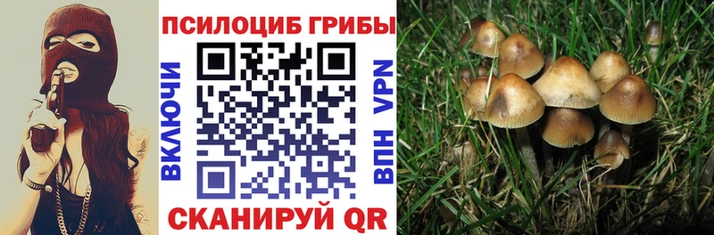 Галлюциногенные грибы MAGIC MUSHROOMS  Купить закладки  Нефтегорск 